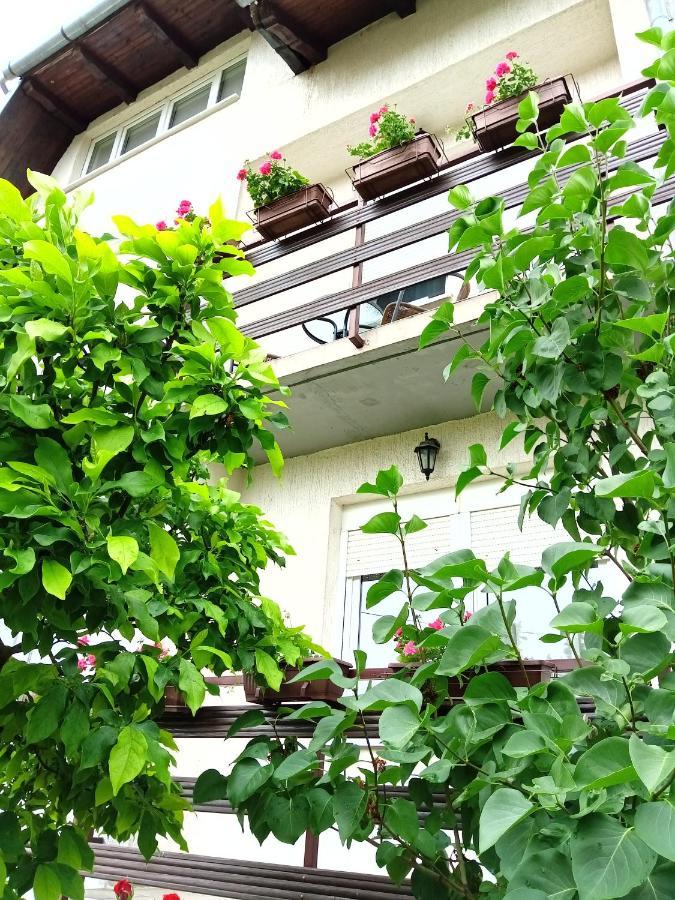 Apartman Kod Dide I Bake Vukovar Esterno foto